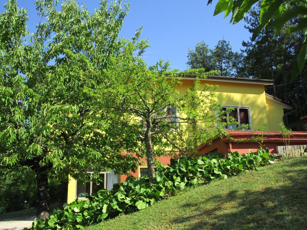 Casa Balducci Bed&Breakfast Mercatello sul Metauro Ngoại thất bức ảnh